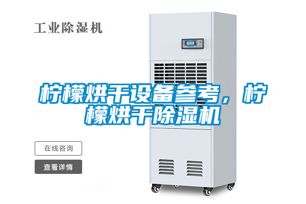 檸檬烘干設備參考，檸檬烘干除濕機