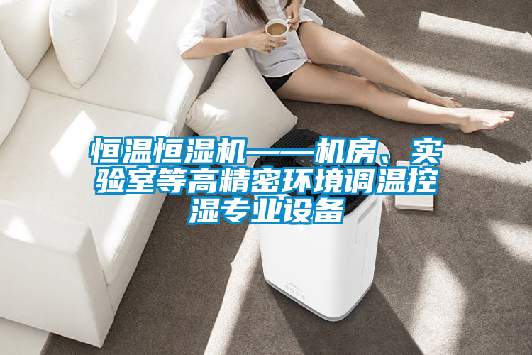恒溫恒濕機——機房、實驗室等高精密環(huán)境調(diào)溫控濕專業(yè)設(shè)備