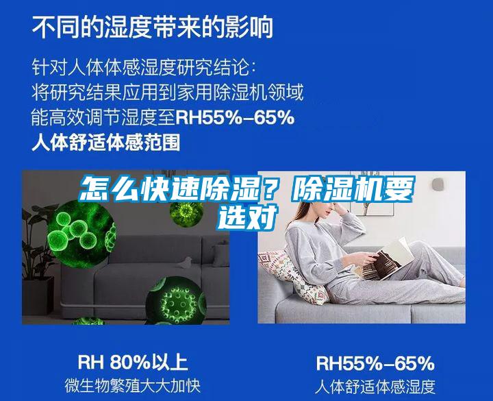 怎么快速除濕？除濕機要選對