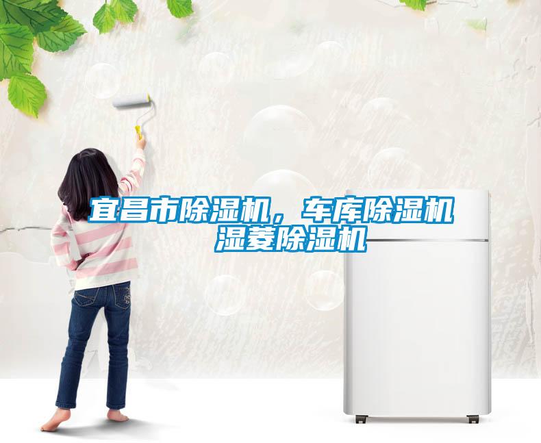 宜昌市除濕機(jī)，車(chē)庫(kù)除濕機(jī)  濕菱除濕機(jī)