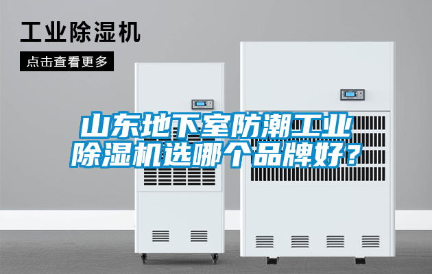 山東地下室防潮工業(yè)除濕機(jī)選哪個(gè)品牌好？