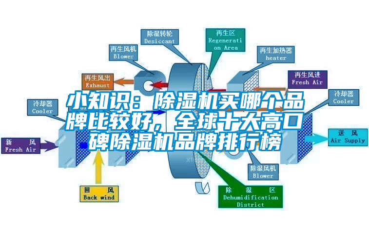 小知識：除濕機買哪個品牌比較好，全球十大高口碑除濕機品牌排行榜