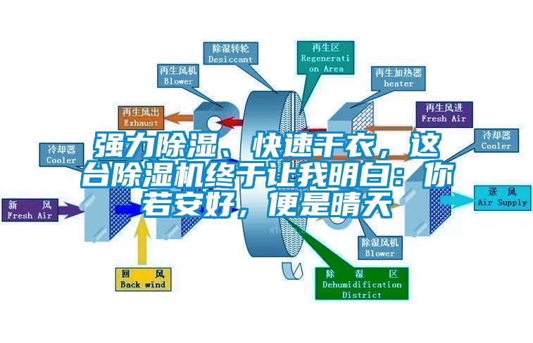 強(qiáng)力除濕、快速干衣，這臺(tái)除濕機(jī)終于讓我明白：你若安好，便是晴天