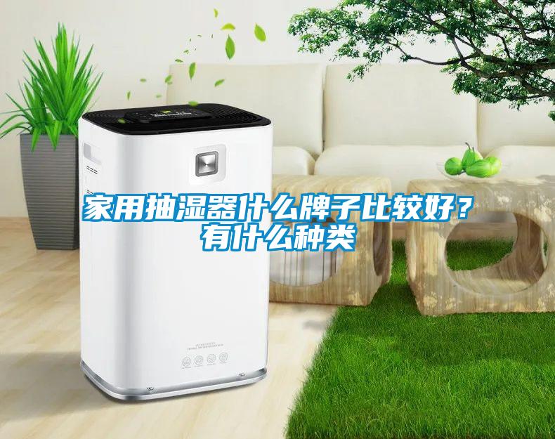 家用抽濕器什么牌子比較好？有什么種類
