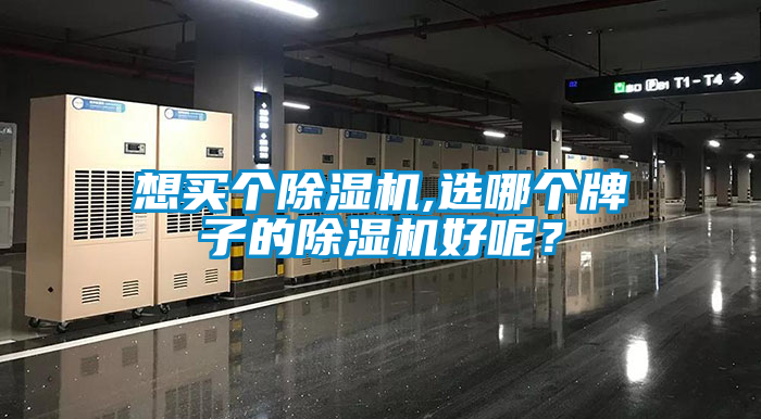 想買個除濕機(jī),選哪個牌子的除濕機(jī)好呢？