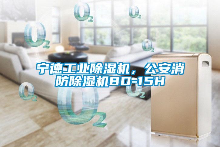 寧德工業(yè)除濕機，公安消防除濕機BD-15H