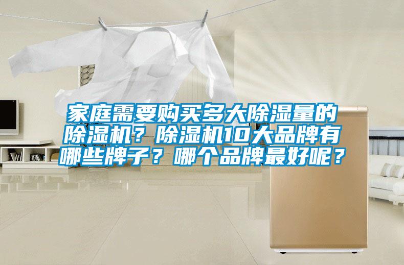 家庭需要購買多大除濕量的除濕機？除濕機10大品牌有哪些牌子？哪個品牌最好呢？