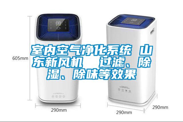 室內空氣凈化系統(tǒng) 山東新風機  過濾、除濕、除味等效果