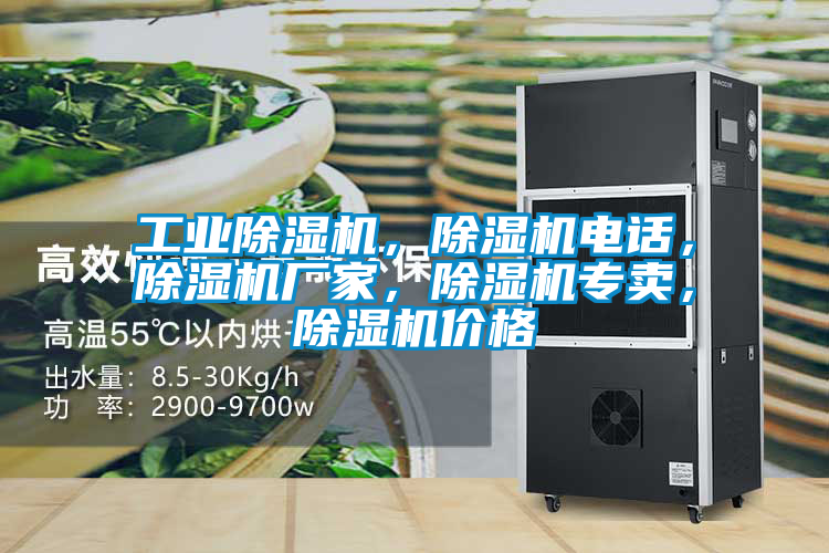 工業(yè)除濕機(jī)，除濕機(jī)電話，除濕機(jī)廠家，除濕機(jī)專賣，除濕機(jī)價(jià)格