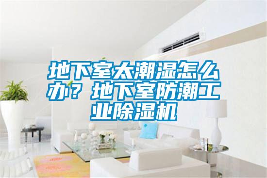 地下室太潮濕怎么辦？地下室防潮工業(yè)除濕機