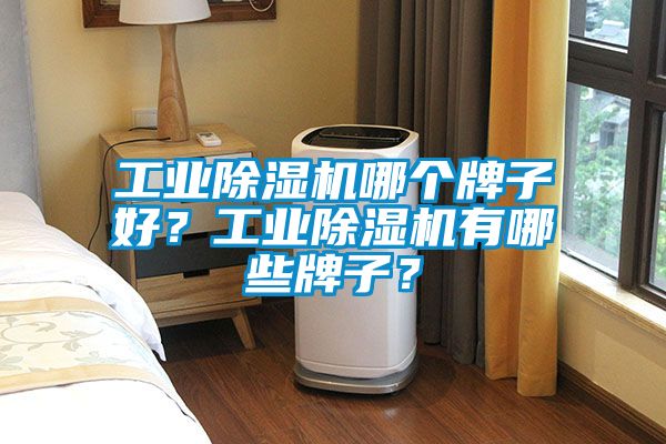 工業(yè)除濕機哪個牌子好？工業(yè)除濕機有哪些牌子？