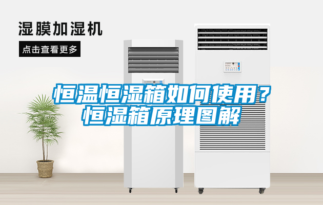 恒溫恒濕箱如何使用？恒濕箱原理圖解