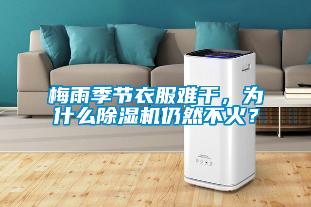 梅雨季節(jié)衣服難干，為什么除濕機仍然不火？