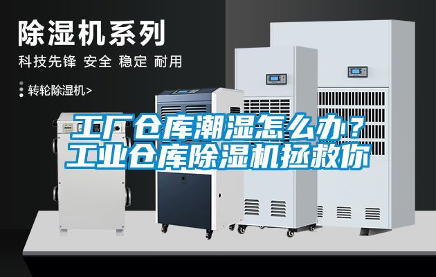 工廠倉(cāng)庫(kù)潮濕怎么辦？工業(yè)倉(cāng)庫(kù)除濕機(jī)拯救你