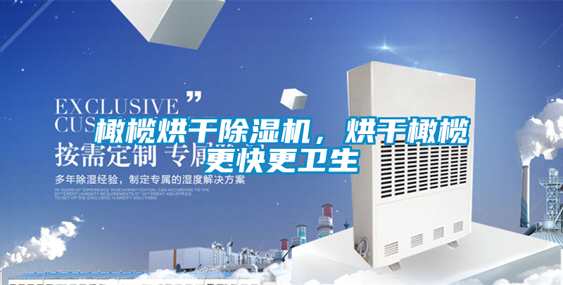 橄欖烘干除濕機，烘干橄欖更快更衛(wèi)生