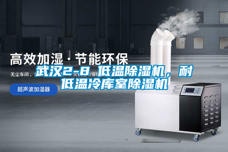 武漢2-8℃低溫除濕機(jī)，耐低溫冷庫室除濕機(jī)