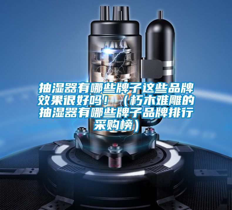 抽濕器有哪些牌子這些品牌效果很好嗎?。ㄐ嗄倦y雕的抽濕器有哪些牌子品牌排行采購榜）