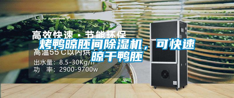 烤鴨晾胚間除濕機，可快速晾干鴨胚