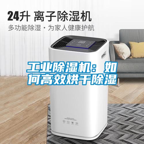 工業(yè)除濕機(jī)：如何高效烘干除濕