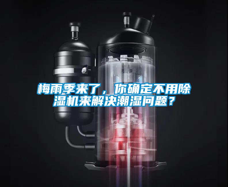 梅雨季來了，你確定不用除濕機來解決潮濕問題？