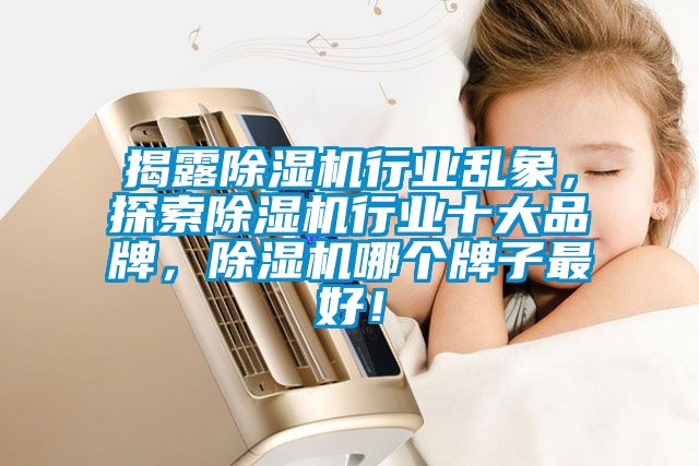 揭露除濕機(jī)行業(yè)亂象，探索除濕機(jī)行業(yè)十大品牌，除濕機(jī)哪個牌子最好！