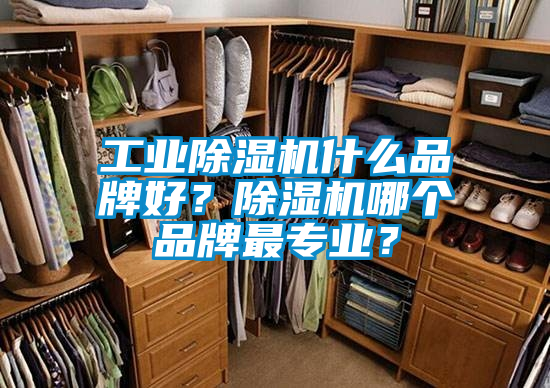 工業(yè)除濕機(jī)什么品牌好？除濕機(jī)哪個品牌最專業(yè)？