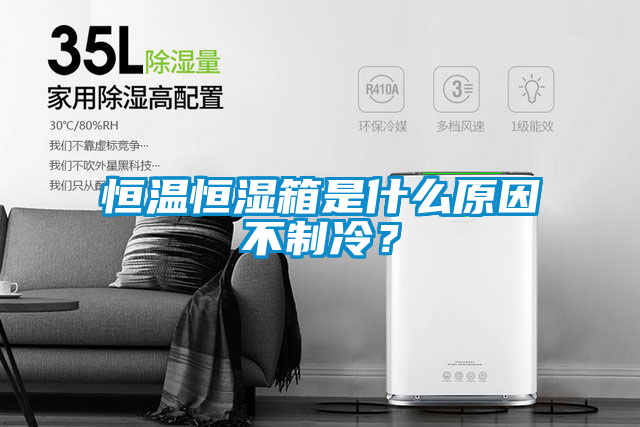 恒溫恒濕箱是什么原因不制冷？