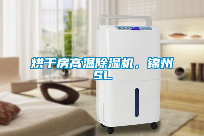 烘干房高溫除濕機(jī)，錦州SL