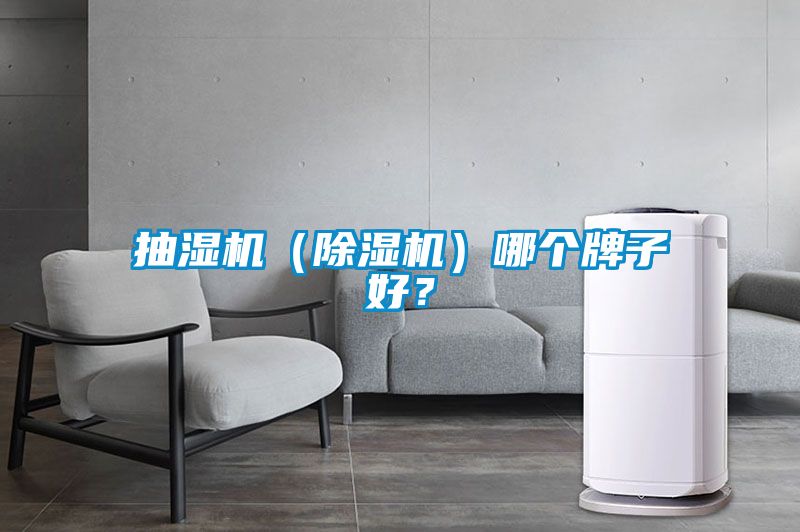 抽濕機(jī)（除濕機(jī)）哪個(gè)牌子好？