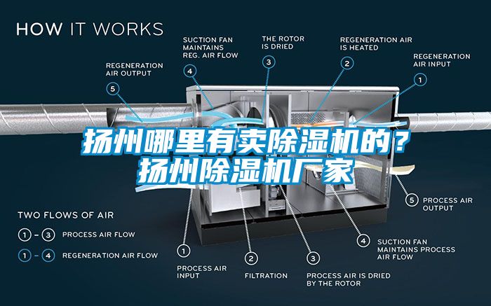 揚州哪里有賣除濕機的？揚州除濕機廠家