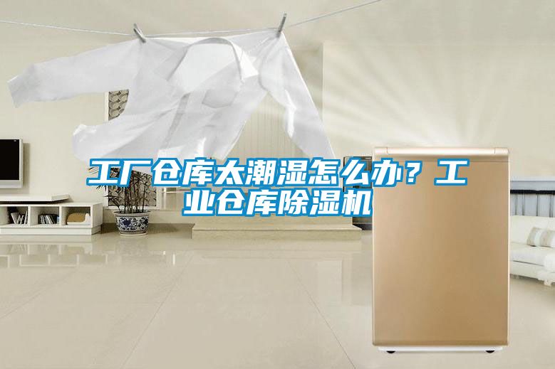 工廠倉庫太潮濕怎么辦？工業(yè)倉庫除濕機