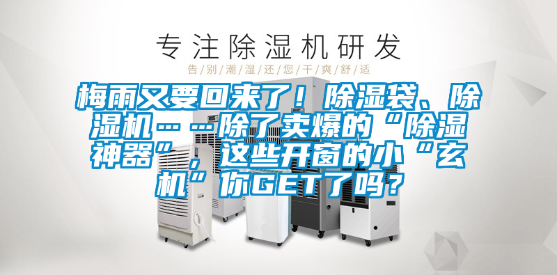 梅雨又要回來(lái)了！除濕袋、除濕機(jī)……除了賣(mài)爆的“除濕神器”，這些開(kāi)窗的小“玄機(jī)”你GET了嗎？