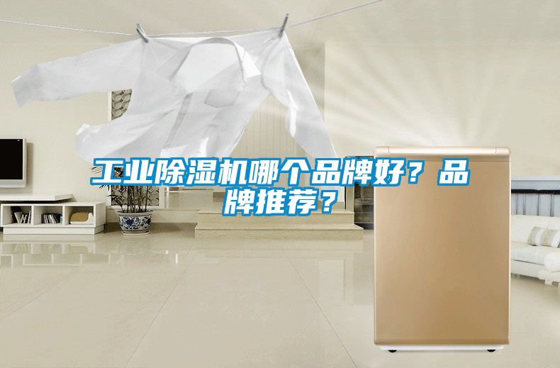 工業(yè)除濕機(jī)哪個(gè)品牌好？品牌推薦？