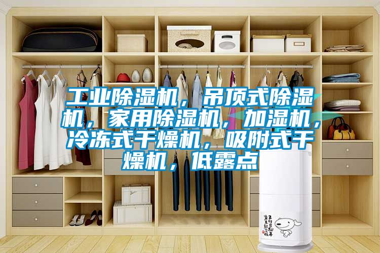 工業(yè)除濕機，吊頂式除濕機，家用除濕機，加濕機，冷凍式干燥機，吸附式干燥機，低露點