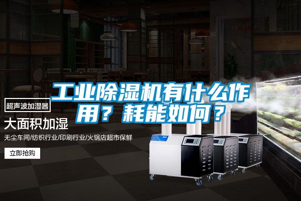 工業(yè)除濕機(jī)有什么作用？耗能如何？