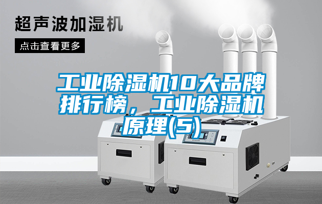 工業(yè)除濕機10大品牌排行榜，工業(yè)除濕機原理(5)