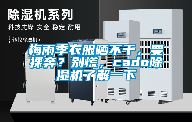 梅雨季衣服曬不干，要裸奔？別慌，cado除濕機了解一下