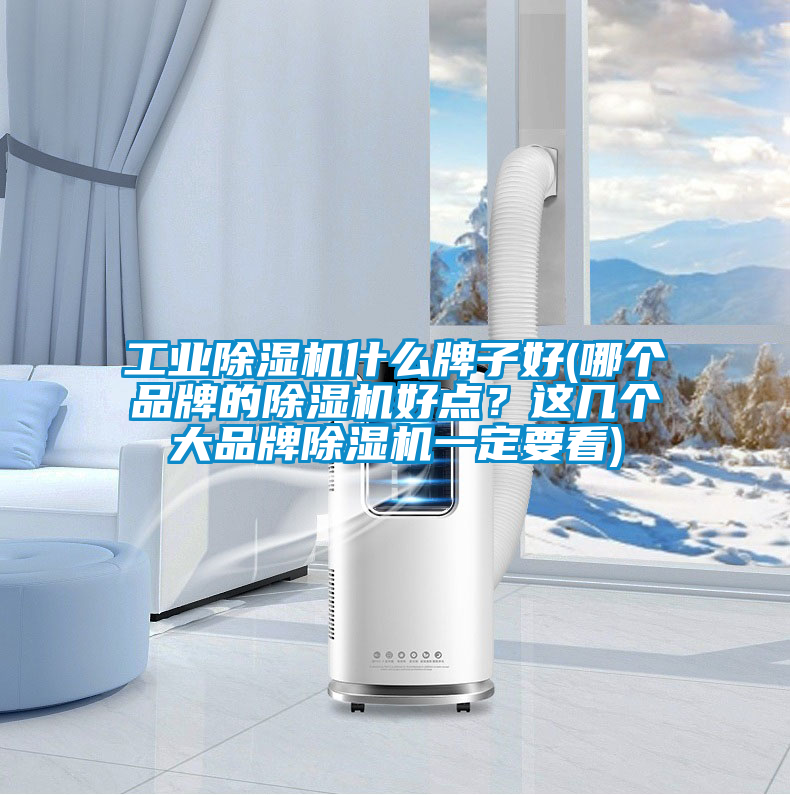 工業(yè)除濕機(jī)什么牌子好(哪個品牌的除濕機(jī)好點？這幾個大品牌除濕機(jī)一定要看)