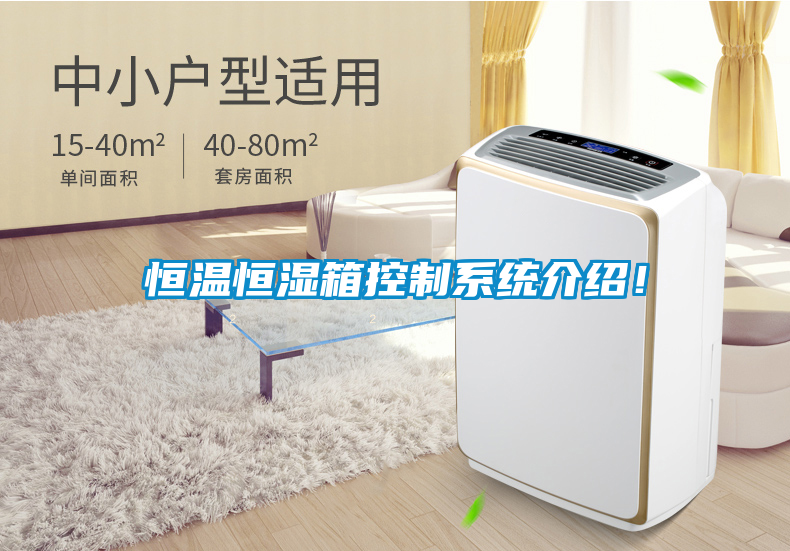 恒溫恒濕箱控制系統(tǒng)介紹！