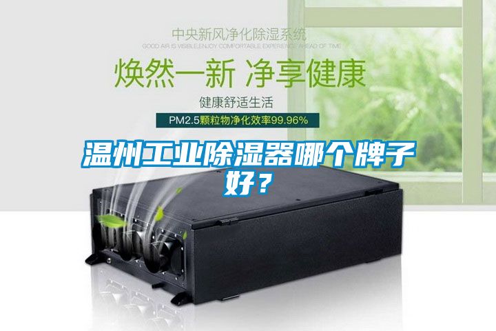 溫州工業(yè)除濕器哪個牌子好？