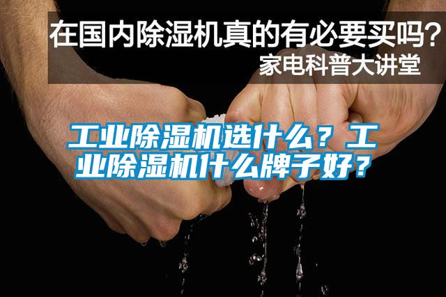 工業(yè)除濕機(jī)選什么？工業(yè)除濕機(jī)什么牌子好？