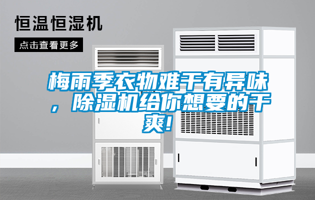 梅雨季衣物難干有異味，除濕機(jī)給你想要的干爽!