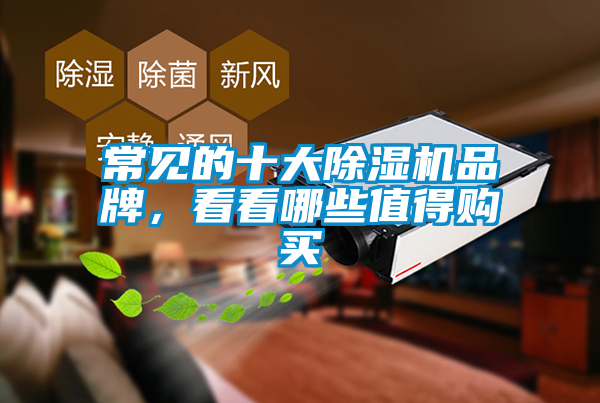 常見的十大除濕機(jī)品牌，看看哪些值得購買