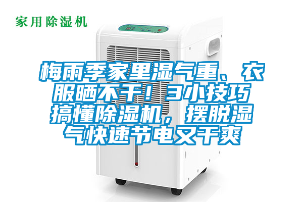 梅雨季家里濕氣重、衣服曬不干！3小技巧搞懂除濕機(jī)，擺脫濕氣快速節(jié)電又干爽