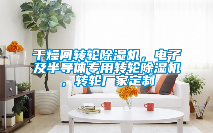 干燥間轉輪除濕機，電子及半導體專用轉輪除濕機，轉輪廠家定制