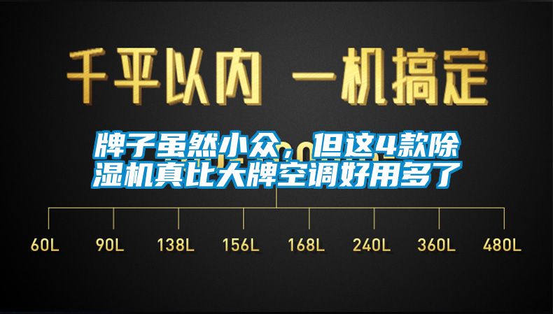 牌子雖然小眾，但這4款除濕機(jī)真比大牌空調(diào)好用多了