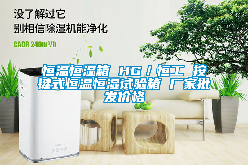 恒溫恒濕箱 HG／恒工 按鍵式恒溫恒濕試驗(yàn)箱 廠家批發(fā)價格