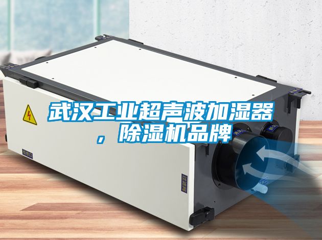 武漢工業(yè)超聲波加濕器，除濕機(jī)品牌