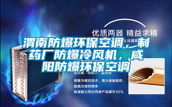 渭南防爆環(huán)?？照{(diào)，制藥廠防爆冷風(fēng)機(jī)，咸陽防爆環(huán)保空調(diào)
