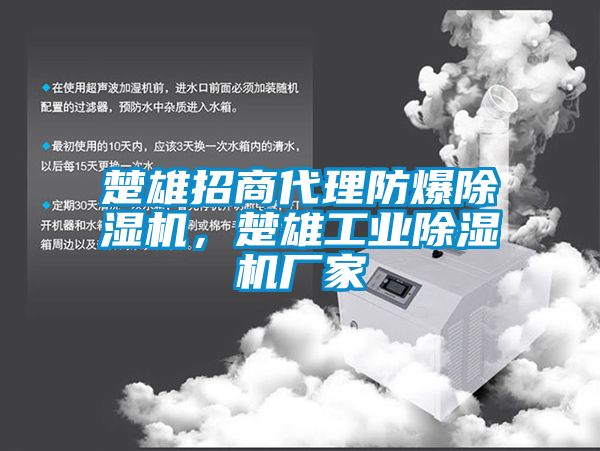 楚雄招商代理防爆除濕機，楚雄工業(yè)除濕機廠家